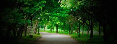 Botanical Gardens