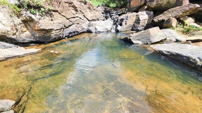 Eheliyagoda