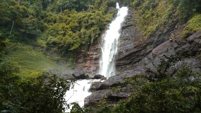 Mapalana Ella