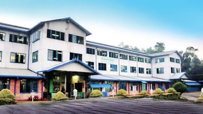 Court Lodge Tea Estate