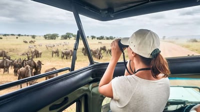 Safari Safety Guideline