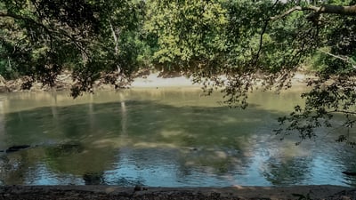 Walawe River