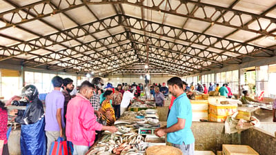 Jaffna Fish market