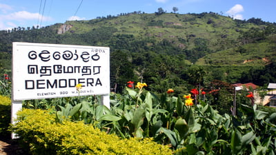 Demodara