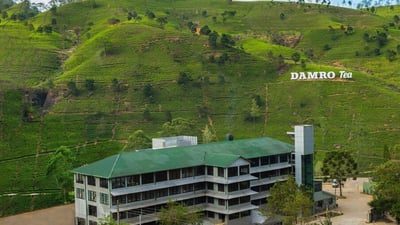 Damro Labookellie Estate