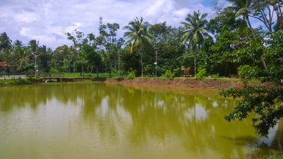Udugampola