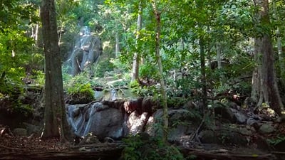 Seetha Kotuwa