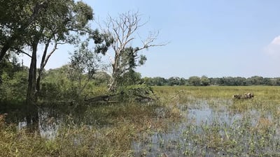Madhu Road National Park