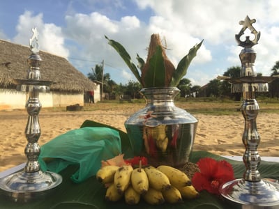 Thai Pongal