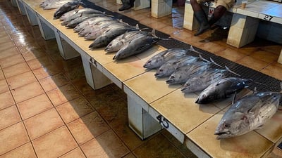 Negombo Fish Market