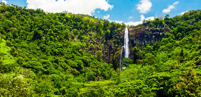 Bambarakanda Falls