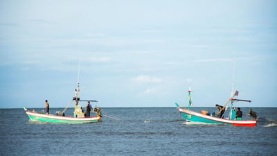 Deep Sea Fishing