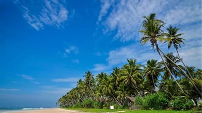 Kosgoda City