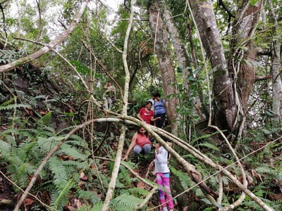 Kodigahakanda Sanctuary