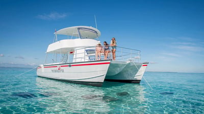Catamaran Safari