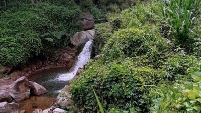 Horana