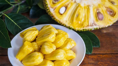Artocarpus heterophyllus