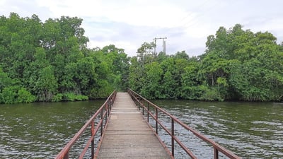 Madhuwa Bridge