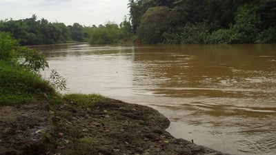 Kelani River
