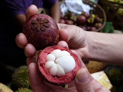 Mangosteen