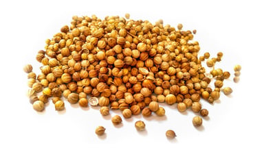 Coriander
