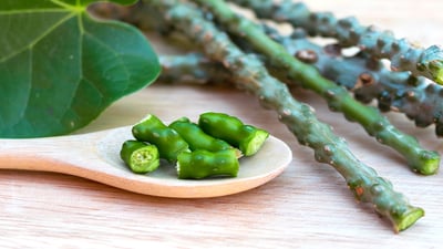 Tinospora cordifolia