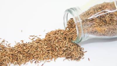 fennel