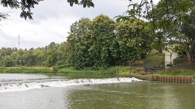 Maha Oya