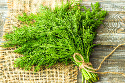 Dill