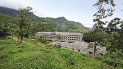 Loolecondera Estate