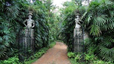The Brief Garden