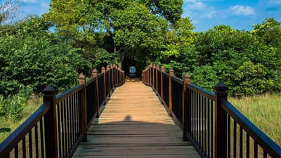 Beddagana Wetland Park