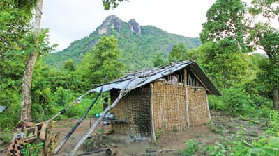 Forest Dwellers Of Rathugala