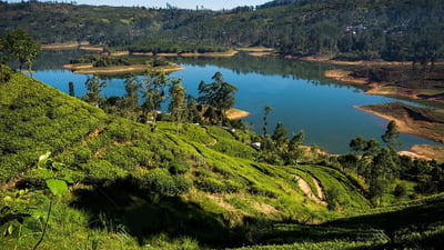 Castlereagh Reservoir