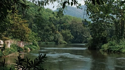 Kelani River