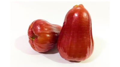 Jambu