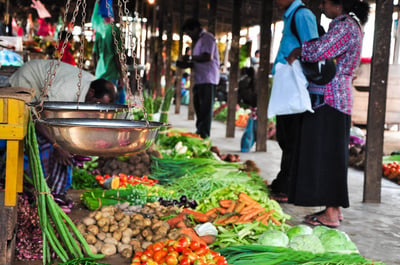 Jaffna Market
