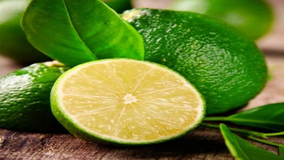 Citrus aurantifolia
