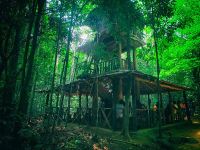Kanneliya Rain Forest