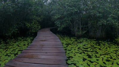 Beddagana Wetland Park