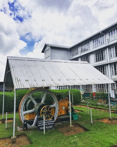 Pedro Tea Estate