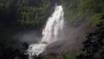 Mapalana Ella