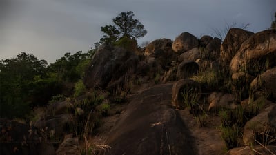 Pettigala mountain