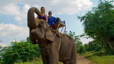 Elephant Riding