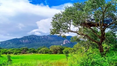 Ritigala Mountain