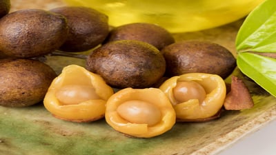 Schleichera oleosa
