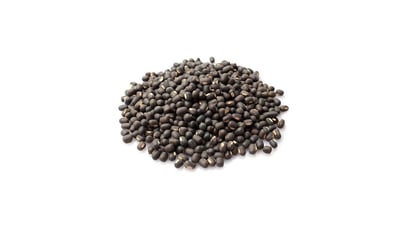 Vigna Mungo
