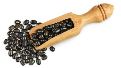 Vigna Mungo