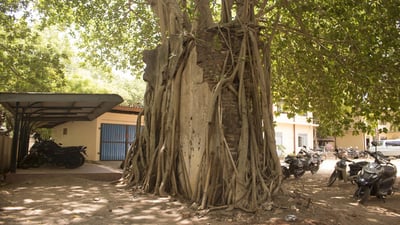 Mulativu Fort