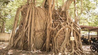 Mulativu Fort